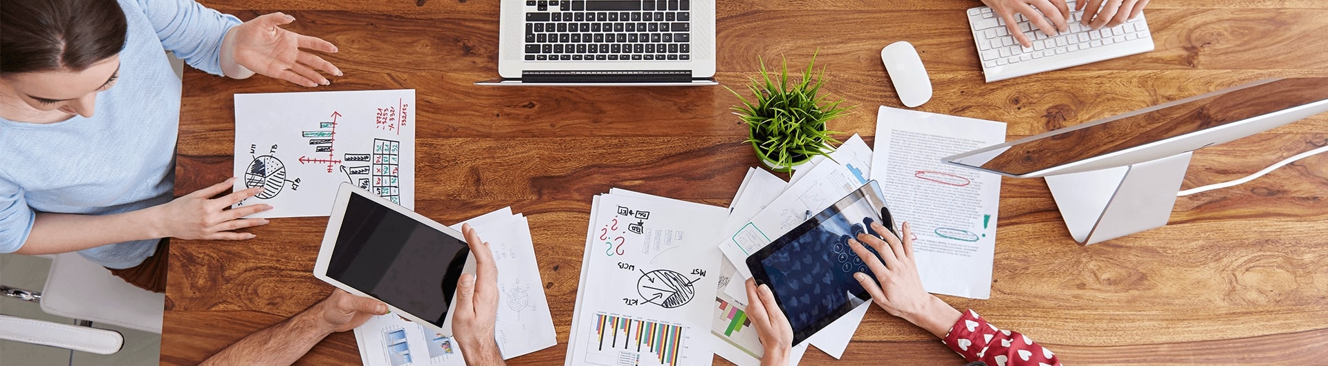 Expert Insights and Training Solutions for Automotive, FMCG, Pharma, and Specialized Departments | TheSkope Center for Excellence