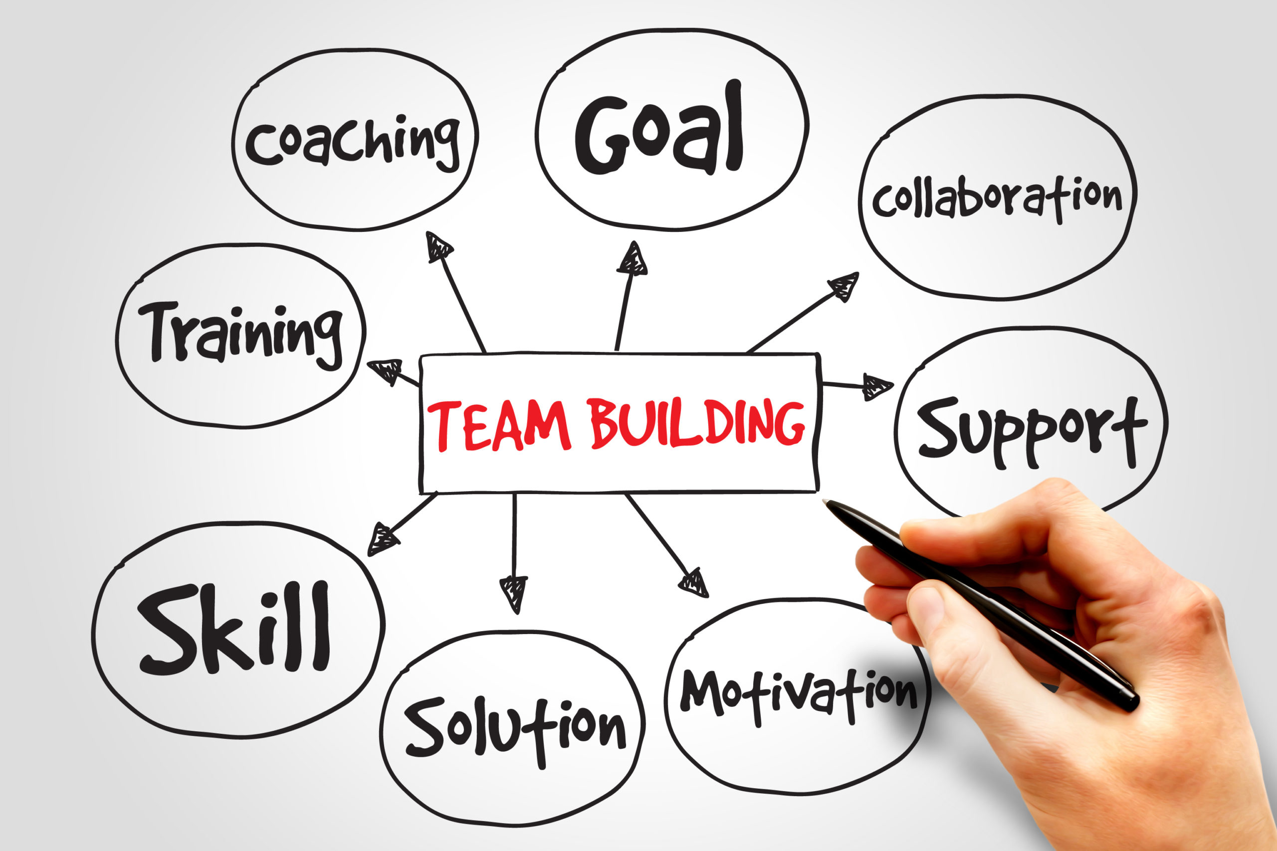 Strengthen Your Team: One-Day Team Building Training