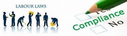 Labour Law Course | Master Statutory Compliances Online