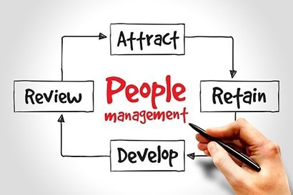 Strategic Talent Development and Retention