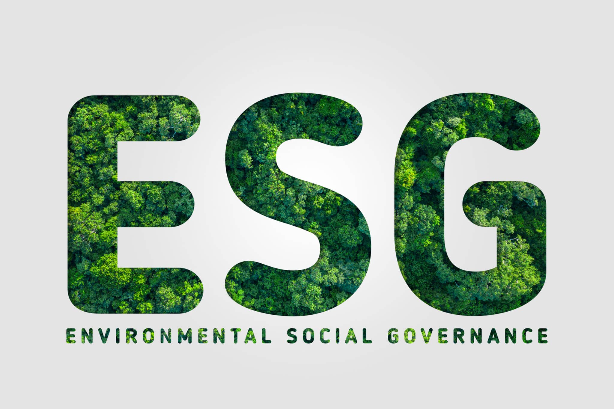 Environmental, Social, and Governance (ESG)